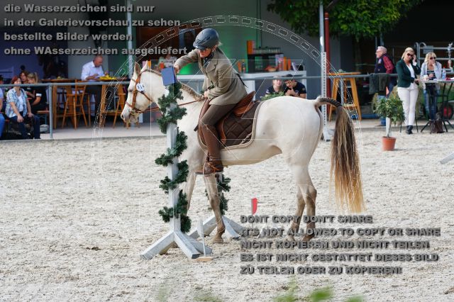 s_DSC05056.JPG